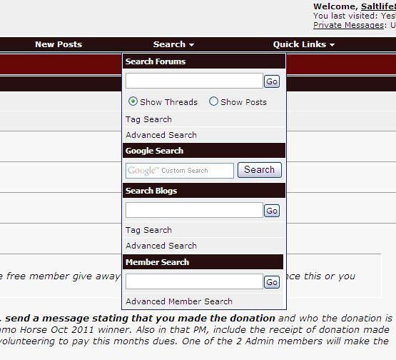 Website with search menus and forum text