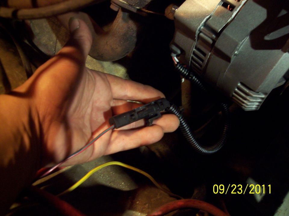 Hand holding black alternator connector pigtail next to silver alternator in engine bay