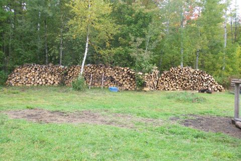 1963 Hummer H3 - Stacked firewood in a yard, ready for winter use.