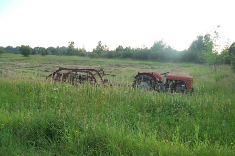 2000 Chevrolet Tahoe - A red tractor sits idle in a field of tall grass, connected to a piece of agricultural machinery.