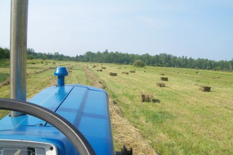 2000 Chevrolet Tahoe - View from inside a blue tractor driving through a field of hay bales under a clear sky.