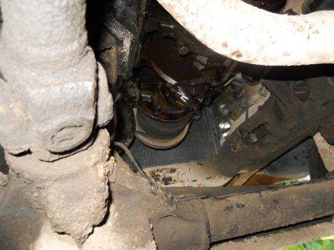 1979 Ford Bronco - Underside view shows the driveshaft and differential components of a vehicle.