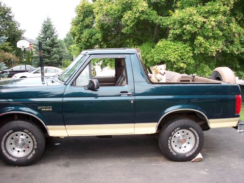 1994 Ford Bronco photo