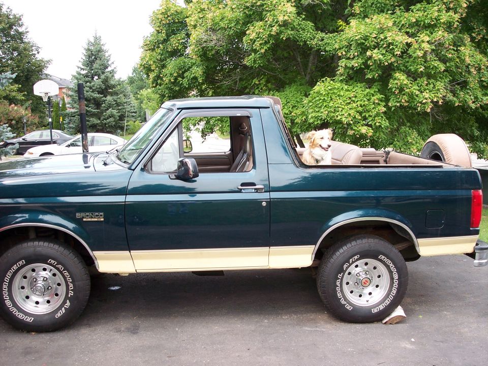 Dark green Ford Bronco, top removed behind cab, dog sitting in open rear, side view in a driveway