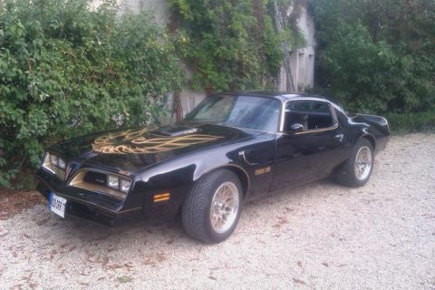 1991 Ford LTD Crown Victoria - Black 1977 Pontiac Trans Am parked outdoors with foliage in the background.