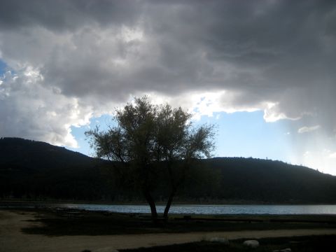 1996 Ford Bronco - A scenic view of a lake and surrounding hills beneath a dramatic, cloudy sky, with a lone tree silhouetted against the light.