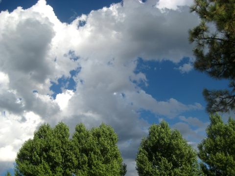 1996 Ford Bronco - A view of the sky with fluffy clouds and green trees below.