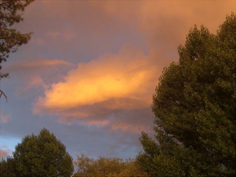 1996 Ford Bronco - The sky displays dramatic orange clouds illuminated by the setting sun, with trees silhouetted against the colorful backdrop.