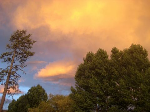1996 Ford Bronco - Clouds glow orange and yellow at sunset over trees and a tall pine.