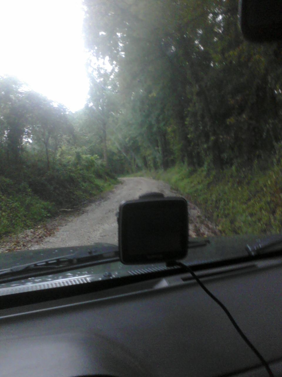 Dashboard view with dashcam on a dirt road through trees