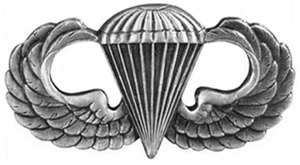 Silver parachute badge with wings