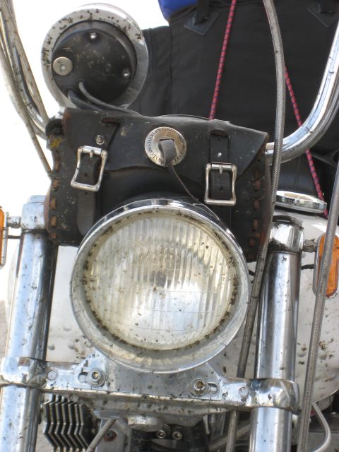 2011 Yugo Vega photo