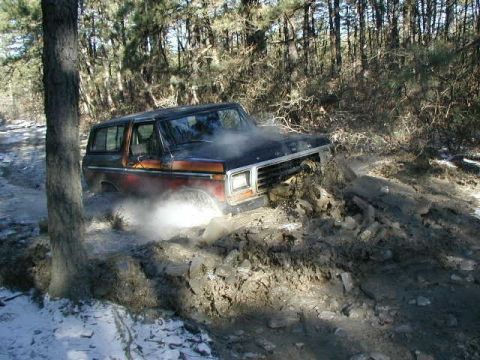 1979 Ford Bronco II