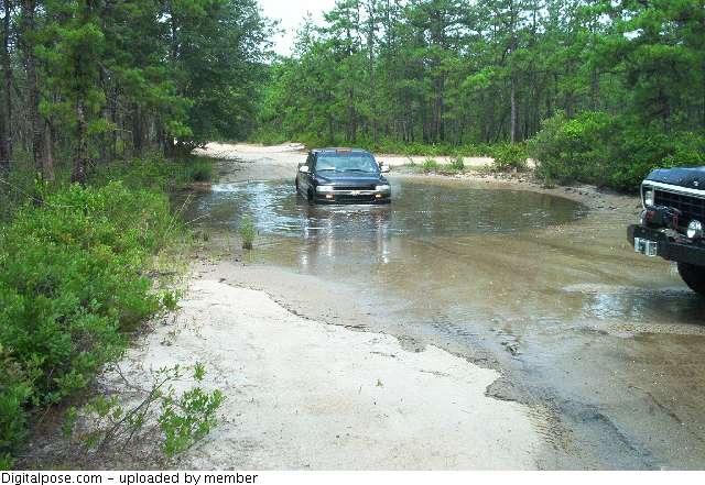 two trucks driving through a flooded dirt road in a wooded area