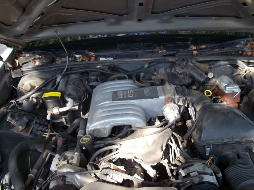 Engine bay with 5.0 liter EFI V8 engine. Some leaves are visible on top of the engine compartment
