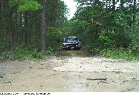 1979 Ford Bronco II
