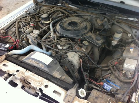 1991 Ford Crown Victoria LTD - The engine bay of a car, showing the V8 engine and various components.