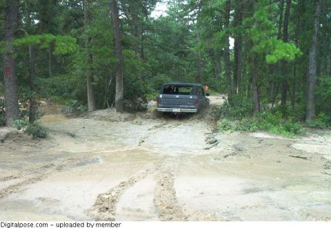 1979 Ford Bronco II