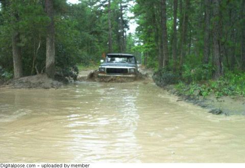 1979 Ford Bronco II