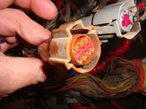 1989 Ford Bronco - A close-up view of a dusty electrical connector with many colorful wires.