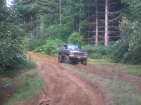 1979 Ford Bronco - 1979 Ford Bronco navigates a dirt track in a wooded area.