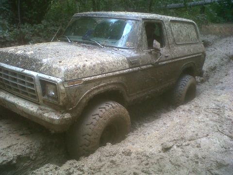 1979 Ford Bronco - stuck