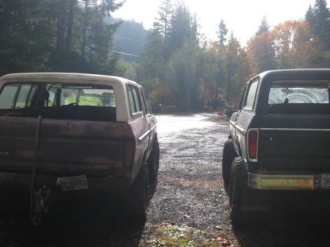 1979 Ford Bronco - Two 1979 Ford Broncos are seen from the rear, parked on a gravel surface with trees in the background.