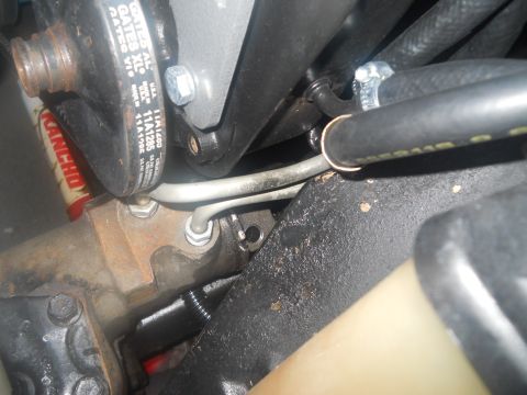 1976 Ford Bronco - Close-up view of automotive power steering pump and associated hoses, with a Gates belt.