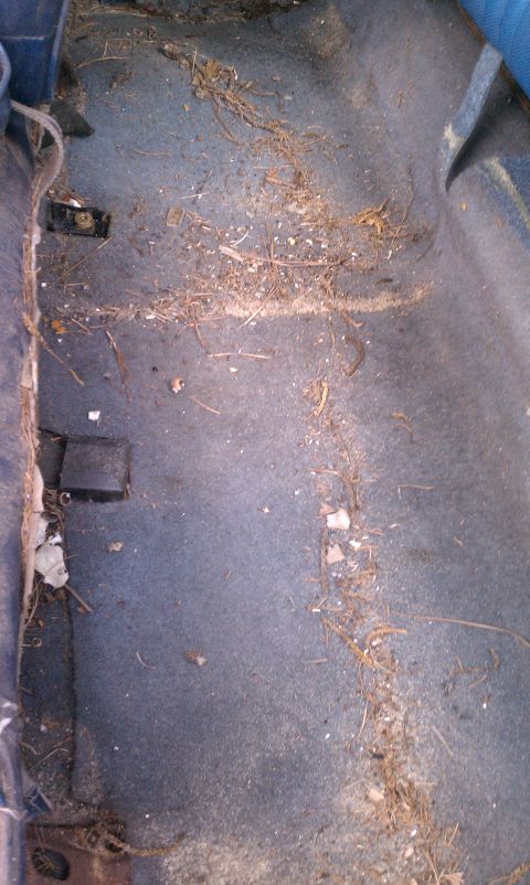 1979 Ford Bronco - The interior floor of a vehicle is covered in dirt, leaves, and debris.