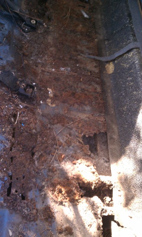 1979 Ford Bronco - The interior floor pan of a vehicle is heavily rusted and damaged, with debris scattered across it.
