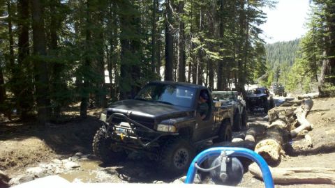 1971 Ford Bronco - Several off-road vehicles, including a modified black pickup truck, traverse a challenging trail through a forest.