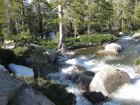 1971 Ford Bronco - A fast-flowing mountain stream winds through rocks and trees under a clear sky.