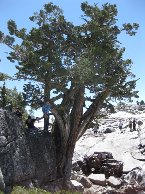 1971 Ford Bronco - An off-road vehicle navigates a challenging rocky path under a clear blue sky, with people observing nearby.