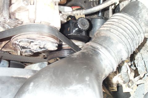 1995 Ford Bronco - I bought a belt for an E150 with a 302. It was about an inch longer than the one for my bronco.