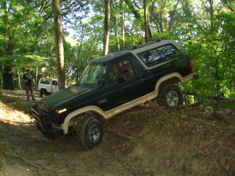 1983 Ford Bronco - After a brief winch pull, I got back on the wheels, lined up, and drove out.
