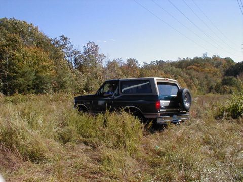 1995 Ford Bronco - ... & there wasnt much there