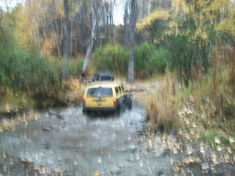 1979 Ford Bronco - A yellow SUV navigates through a wet, wooded area with another vehicle following closely behind.