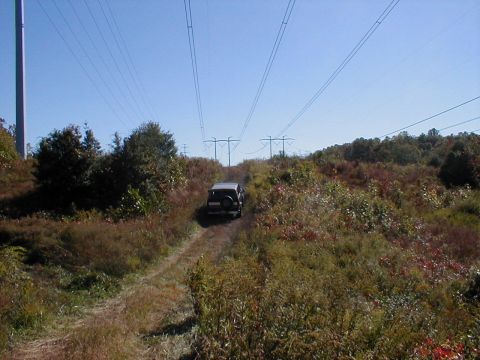 1995 Ford Bronco - An SUV navigates a grassy, overgrown path beneath a clear blue sky and high-voltage power lines.