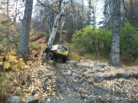 1979 Ford Bronco - A yellow Jeep navigates a challenging off-road path covered in fallen leaves and rocks.
