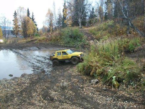 1979 Ford Bronco - A yellow off-road vehicle tackles a challenging muddy path with dense foliage on the side.