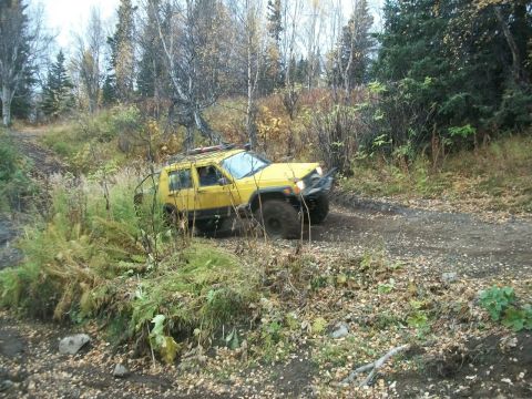 1979 Ford Bronco - Yellow Jeep Cherokee XJ navigates a rough dirt path through a wooded area.