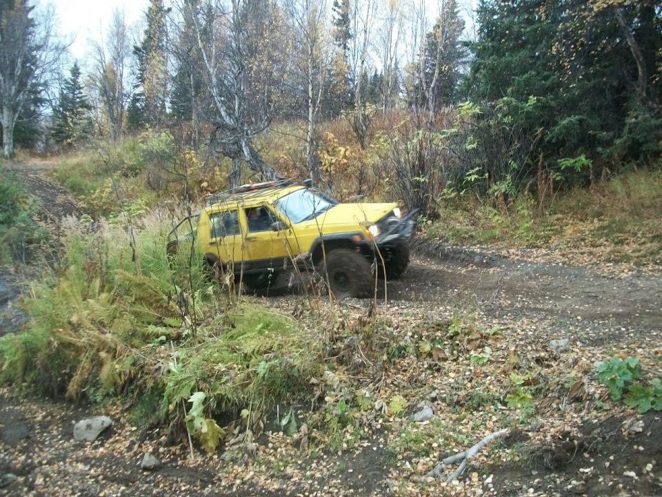 Yellow Jeep Cherokee XJ off-roading on a dirt trail with trees and foliage