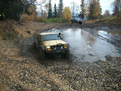 1979 Ford Bronco - Two off-road vehicles navigate a muddy trail with trees and fallen leaves.