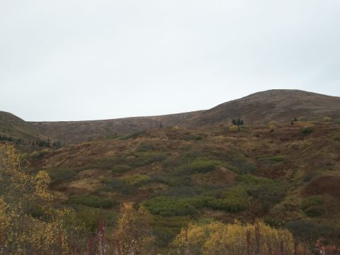 1979 Ford Bronco - A vast landscape of rolling hills covered in brush and scattered trees under a cloudy sky.