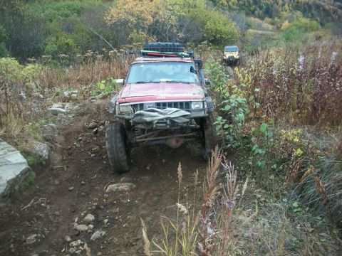 1979 Ford Bronco - Two off-road vehicles navigate a challenging, overgrown trail in a wooded area.