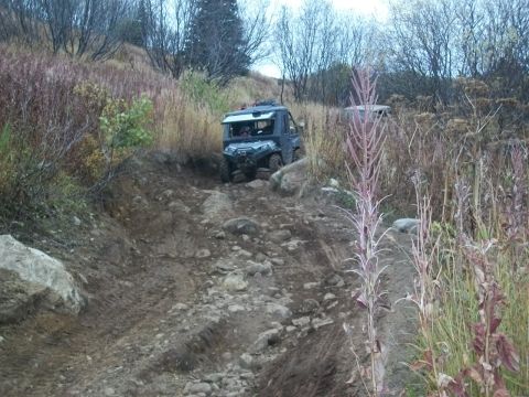 1979 Ford Bronco - An all-terrain vehicle navigates a challenging, off-road path through overgrown vegetation.