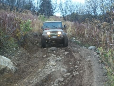 1979 Ford Bronco photo