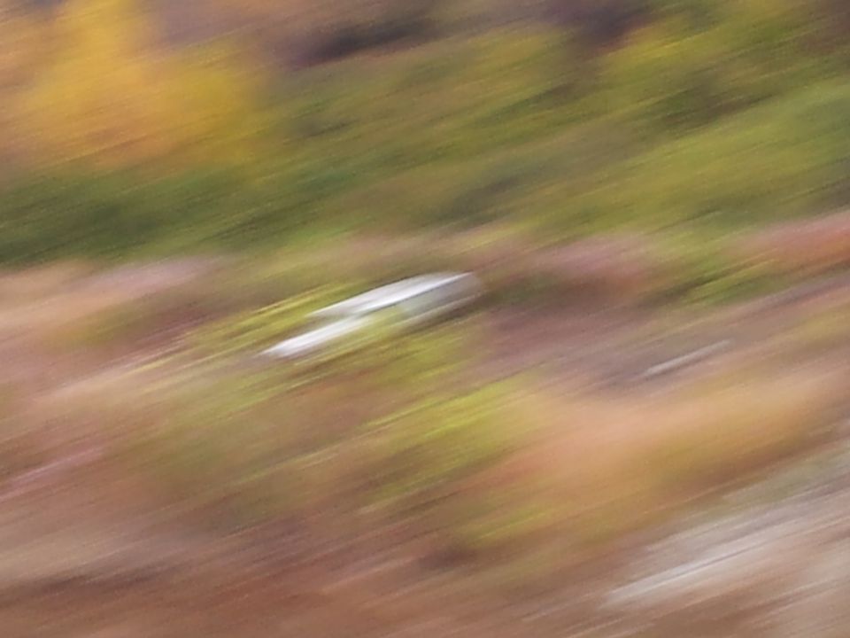 Blurry silver vehicle on a hillside with autumn foliage