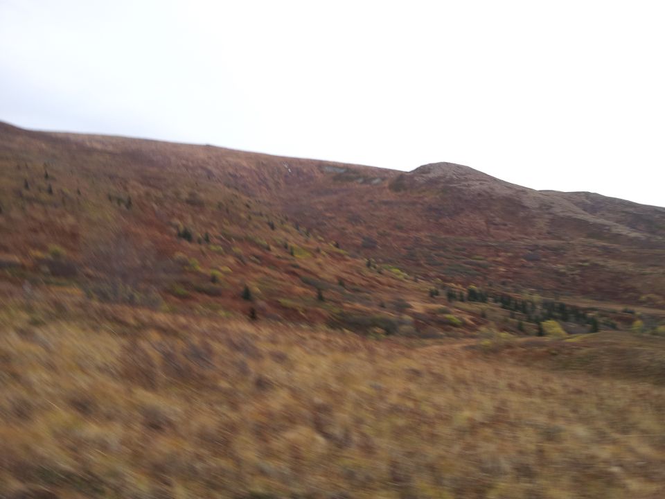 Hilly landscape with dry grass and scattered trees under an overcast sky