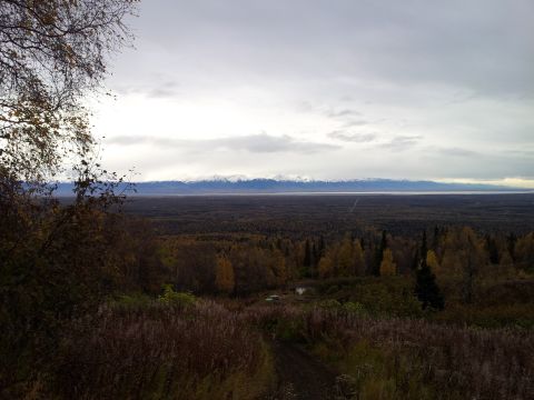 1990 Chevrolet Suburban - A wide view of a forest under a cloudy sky, with mountains visible on the horizon.
